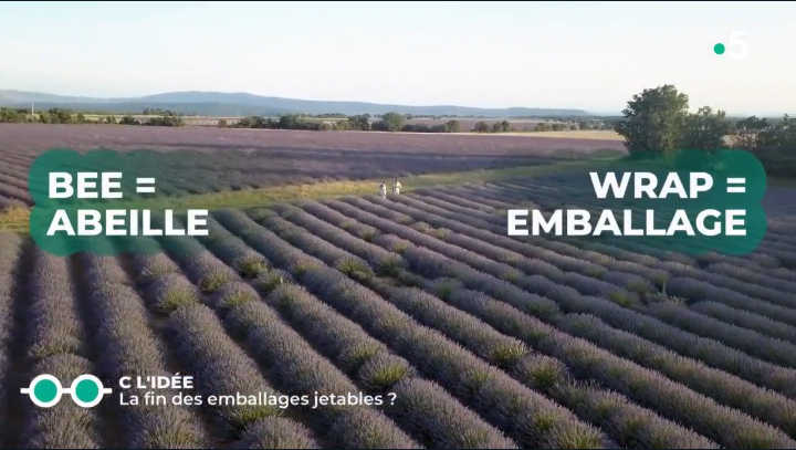 explication bee wrap - C Jamy 22/02/21