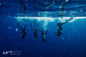 Les plongeurs d'Opération Mer Propre