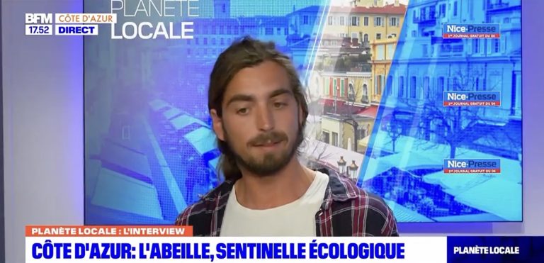 Guillaume Willm de L'abeille qui emballe sur BFM TV