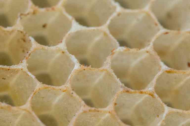 Structure hexagonale d'alvéoles d'abeilles