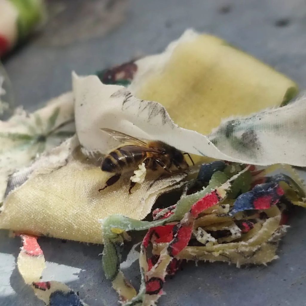 Une abeille récupère de la cire d'abeille dans l'atelier