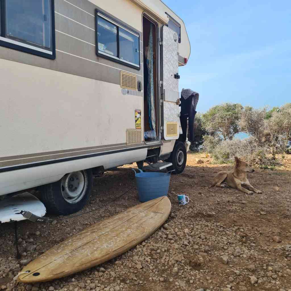 Le camping-car, un surf et un chien local