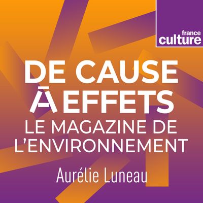 logo "De cause à effets" (France Culture)