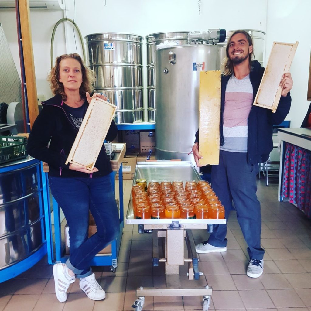 Mielerie et cadre remplis de cire d'abeille
