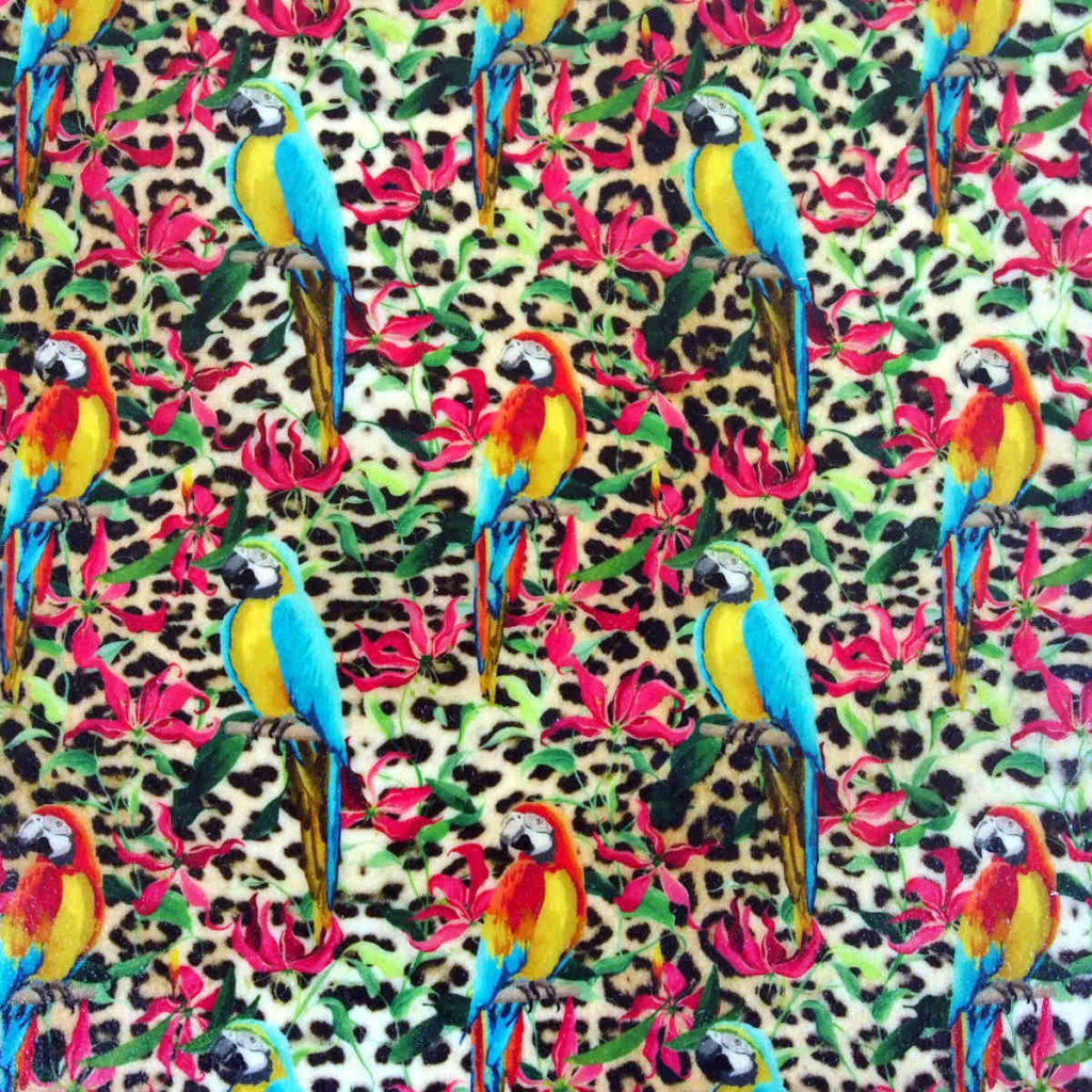Collection "Vie sauvage" - Perroquets